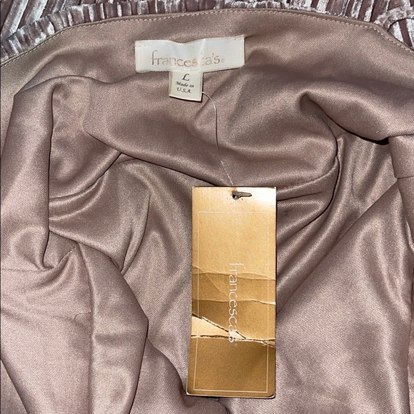 Francesca’s Silky Velvet Dress - Picture 3 of 3